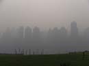 chongqing-women-0219