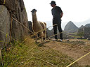 Machu-Picchu-022